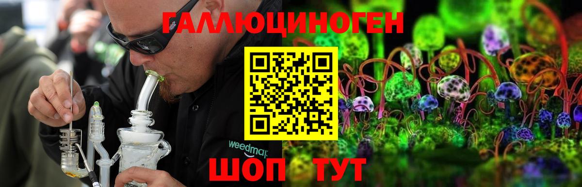 Ленинск-Кузнецкий  Галлюциногенные грибы прущие грибы  Вход с VPN 